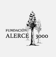 colaborador2